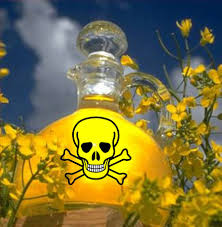 The Worst Of The Worst Canola Oil Video Canola Oil Healthy Oils Oils