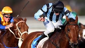 Top apprentice Jake Noonan looks to Asian future