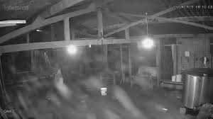 Callejero, planos y mapas de ciudades españolas. Videos Mostram Os Rastros De Lazaro O Serial Killer Do Df Que Vive Na Mata