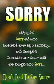 Pin By Surya On Feelings Sorry Quotes Life Lesson Quotes Lesson Quotes