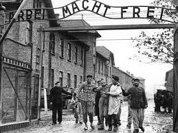 Resultado de imagem para holocausto campos de concentraÃ§Ã£o