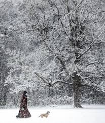 In Pictures Snowy Showers Hit Uk In 2020 England And Scotland Yorkshire Dales Snow Covered Trees