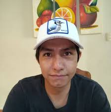 Carlos Alfredo Solache Sierra