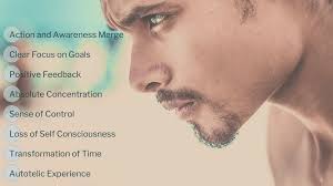 How Physical Activity Transforms the Mind