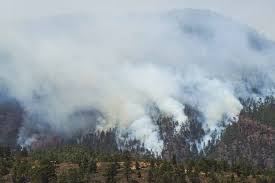 Check spelling or type a new query. El Incendio De Arico Ya Ha Quemado 2 800 Hectareas Diario De Avisos