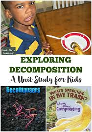 So i decided to let it rot so we could examine. Stem For Homeschoolers Decomposition Lesson Ideas