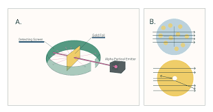 The atom includes a small,positively charged nucleus. The History Of The Atomic Model Rutherford And Bohr