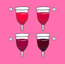 Periode Was Deine Menstruationsblutung Uber Deine Gesundheit Verrat Cosmopolitan