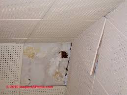 Check spelling or type a new query. How To Tell If Ceiling Tiles Contain Asbestos Identify Asbestos Ceiling Tiles