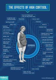 Dr Berg S Infographic The Effects Of High Cortisol Http Drberg Com Cortisol Adrenal Health Fibromyalgia