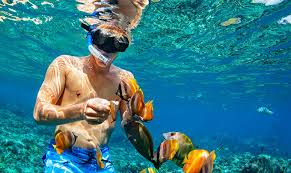 تجربة فريدة لعشاق رياضة الغوص مع فنادق ومنتجعات بلوباي