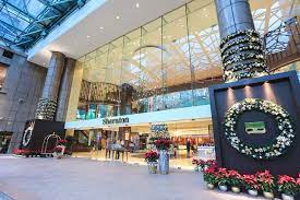 Khu vực khách sạn sheraton quận 1 bị phong tỏa. Lá»… Tháº¯p Sang Cay Thong Giang Sinh Táº¡i Sheraton Saigon