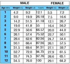 Veracious Average Cat Weight Chart Average Cat Weight By Age