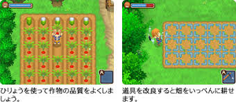 牧場物語 ふたごの村 牧場生活