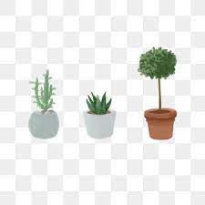 Potted Plant Plant Green Plant Succulents Small Plant Hand Painted Illustration Png Transparent Clipart Image And Psd File For Free Download Small Plants Small Potted Plants Green Plants
