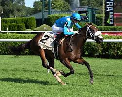 Go for Launch Gives Flightline his First Stakes Winner