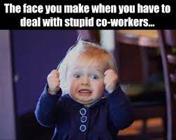 Stupid Coworker Memes