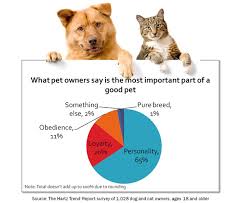 Klinik haiwan taman iskandar atrodas johor bahru. Pet Paradise Clinic