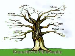 Image result for branches of philosophy