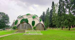 Lebih dari 2000 hewan hidup dan 351 spesies yang terdiri dari spesies mamalia. Harga Tiket Masuk Kebun Raya Bogor Terbaru 2021 Suara Bogor