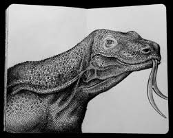 Draw a few lines inside the head for the wrinkles. Komodo Dragon Drawing Novocom Top