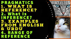 What Is Reference And Inference In Pragmatics Range Of Reference Examples Of English And Urdu Youtube