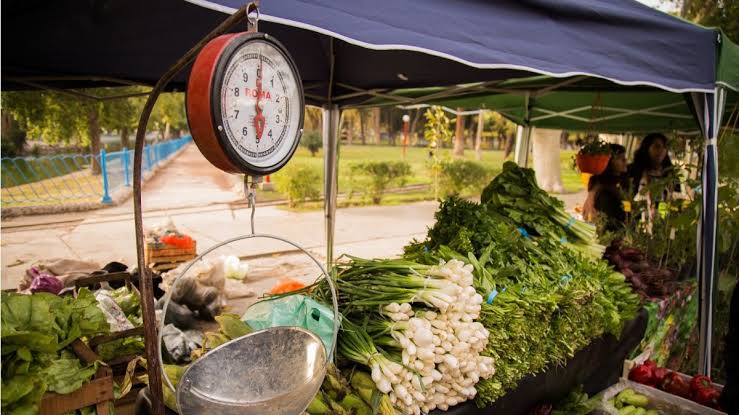 Chimbas tendrÃƒƒÃ‚¡ una feria agroproductiva en la Plaza San Cayetano