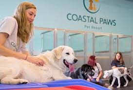 I was trained once and they let me go by myself. Dog Boarding Cat Boarding Dog Daycare In North Myrtle Beach Sc