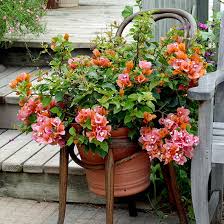 There is nothing quite as effective as adding the perfect garden planters to your decorating scheme, both indoors and. Easy Upcycled Planters Garden Gate