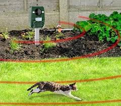Doch der garten gehört mir und ich bin hier der boss. Katzenschreck Test 2021 Gerate Zur Katzenabwehr Im Vergleich