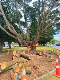 Pahiatua and district pics old and new.