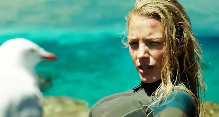 Best of 2016: The Shallows star Sully the seagull