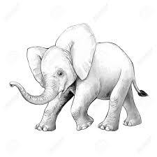 Different animals outline icons in set collection for design. Cartoon Scene With Little Elephant On White Background Safari Stock Photo Picture And Royalty Free Image Image 124455308