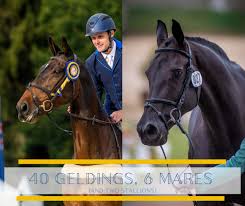 Tilly Berendt Eventing Nation Three Day Eventing News Results Videos And Commentary