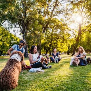 Dog parks serve as vibrant community hubs for human connection., AI generated