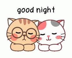 Goodnight Cat Gif Goodnight Cat Cute Discover Share Gifs In 2021 Good Night Gif Cute Good Night Good Night Greetings