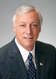 Tree canopy zipline tour