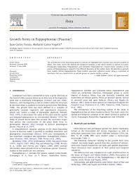 Image result for Enneapogon pretoriensis