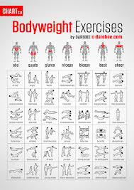 Bodyweight Exercises Chart Easy To Hard The Hive