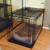 Kong Dog Crate Mat