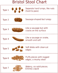 How Healthy Is Your Poop Christiane Northrup M D