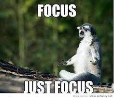  28 Staying Focused Quotes Ideas Quotes Inspirational Quotes Focus Quotes