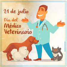 Para diagnosticar la enfermedad, los veterinarios pueden usar varias técnicas, entre ellas los exámenes físicos, los resultados de pruebas (por ejemplo, las muestras de sangre y orina), imágenes de rayos x y ecografías. Feliz Dia A Los Veterinarios