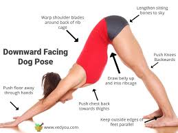 Downward Facing Dog Pose Adho Mukha Svanasana Steps Benefits