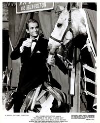 Silver Scenes - A Blog for Classic Film Lovers: From the Archives: The Horse  in the Gray Flannel Suit ( 1967 )