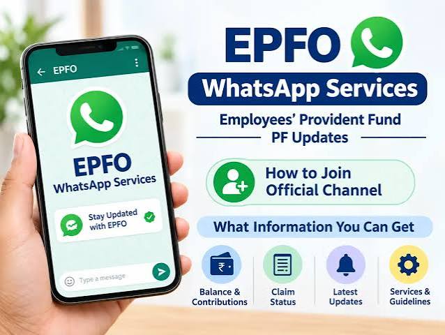EPFO launches WhatsApp channel for PF updates: How to join official channel and what information you can get - The Economic Times