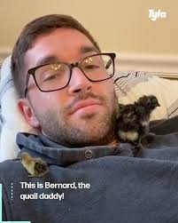 Meet The Quail Daddy