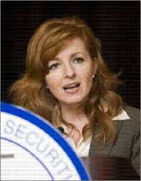 Draft annual report 022409