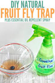 Diy Natural Fruit Fly Trap Essential Oil Spray Living Well Mom