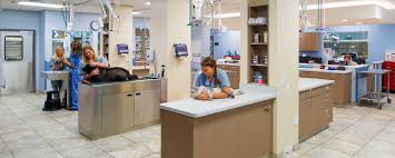 Located in north charleston, sc, you will find a dedicated, compassionate team of veterinary professionals committed to providing outstanding we continually endeavor to enhance the services we provide, the education of our staff, and the health of animals in our care. Charleston Veterinary Referral Center Specialty Emergency Pet Care